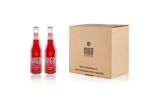 VIGO KOMBUCHA SCHISANDRA 8 X 330ML